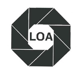 loa胎位，load
