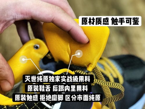 普及的意思三年级，普及的意思是什么 标准答案