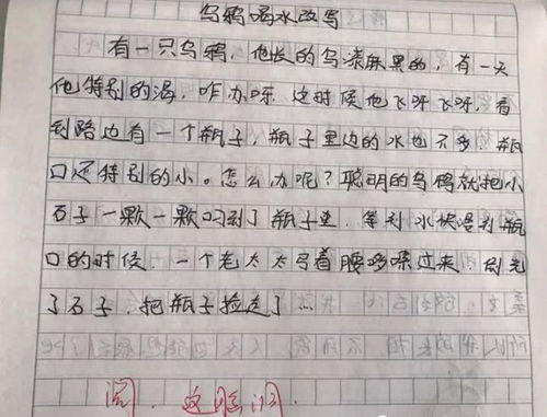 这样的我四年级作文