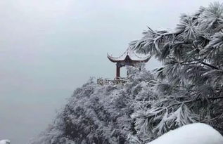 余庆县有多少人口