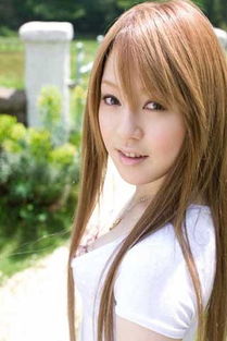 磁力天堂 - 高效的磁力搜索引擎