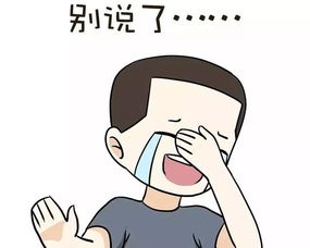 我想更懂你这首歌表达了什么?