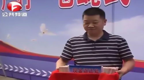 拍手称快的意思