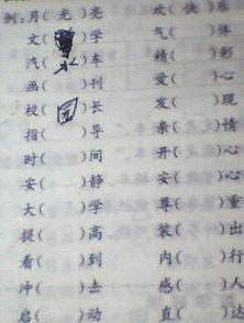 帐的组词