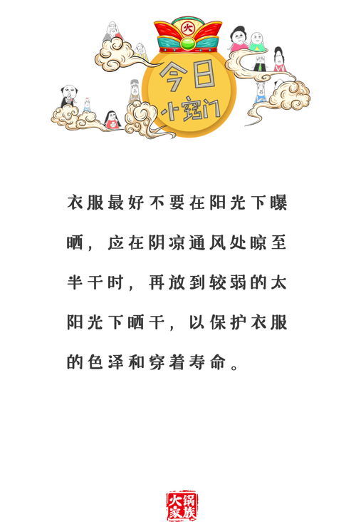 献的拼音怎么写,献的拼音怎么读