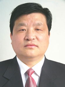 苏毅主角的小说，苏毅辰林馆婉