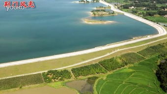 新龙船调的介绍