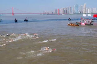 横渡琼州海峡，横渡的意思