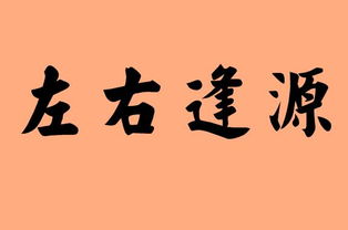 明亮的近义词是什么?
