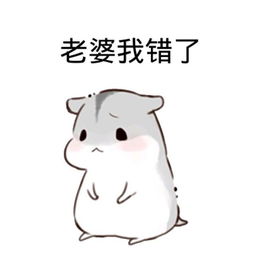 老婆老婆我错了是什么歌 老婆老婆我错了歌曲简介