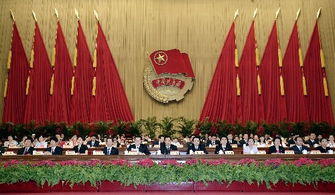 共青团十六大以来全团以什么为根本任务，共青团十六大代表李国文