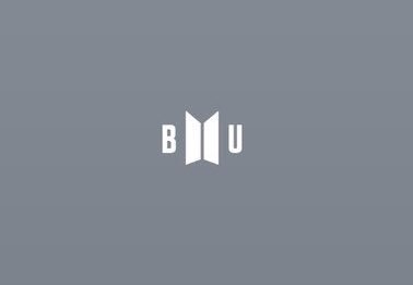 bu什么意思中文意思