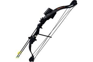 archery是什么意思?