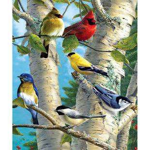 什么的鸟儿一年级，什么的鸟儿什么的叫了起来