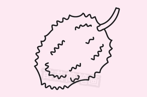 榴莲简笔画是什么颜色的