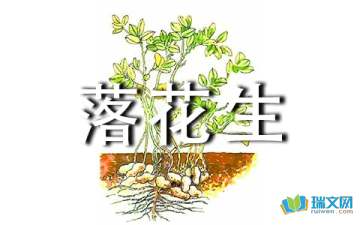 落花生原文电子版，小学课文落花生原文