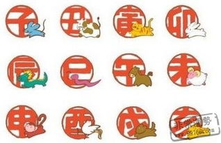 十二生肖表顺序