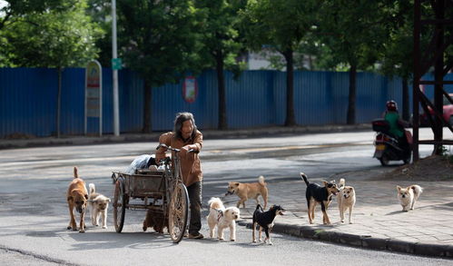 什么呼什么拥的成语