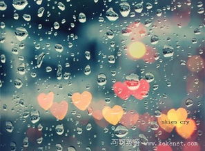阴天、雨天、晴天、雾天、下雪天、起风天、东、西、南、北分别对应的