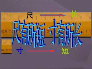 尺有所短的下一句