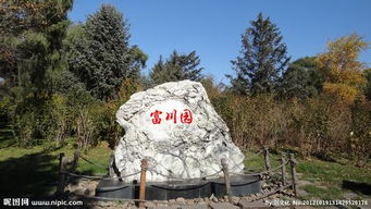 怎么查看未来天气