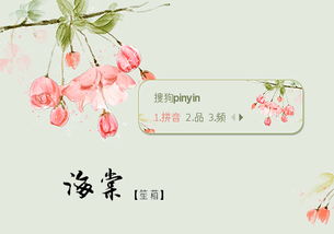 海棠阅读理解及答案三年级