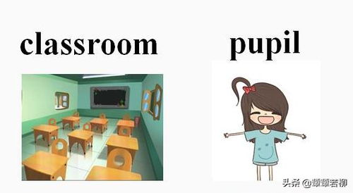 pupil怎么读中文翻译，pupils怎么读