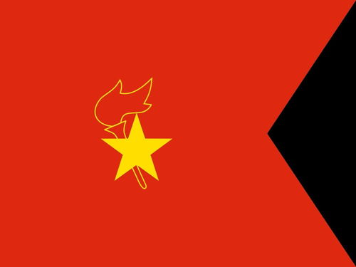 少年先锋队中队旗尺寸是多少?大队旗尺寸是多少