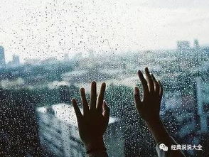 下雨了下雨了儿歌，下雨了下雨了蝴蝶躲进了什么伞