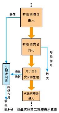 同化是什么意思 同化具体是什么意思