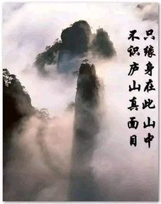 不识庐山真面目下一句是什么?