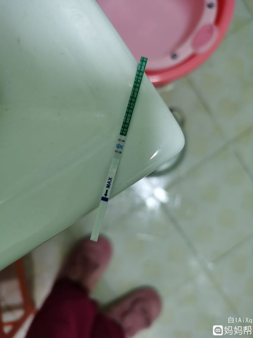 不足挂齿的意思是什么