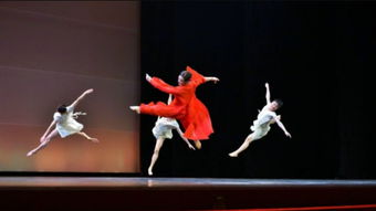 杨丽萍对民族舞的贡献