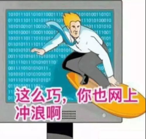 一度风靡什么意思，风靡,什么意思