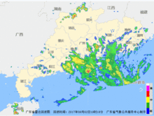 月季花夏天移植可以吗?