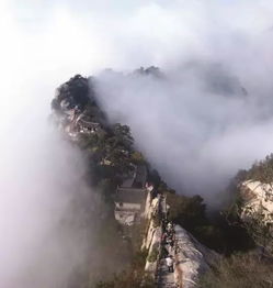 苍龙岭图片，苍龙岭在华山哪个峰