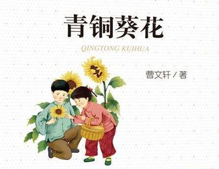 青铜葵花作者简介20字，青铜葵花作者简介50字