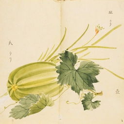 昧旦晨兴是什么意思