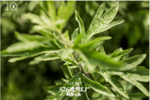 艾艾精工是什么公司