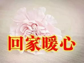 好事成双下一句祝福语，劝酒好事成双下一句
