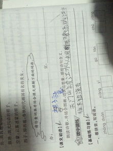 宜是什么意思