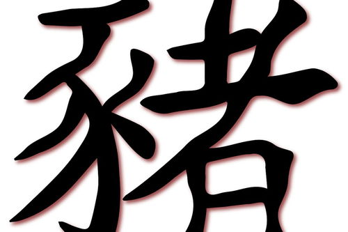 广字旁的字有哪些，广字旁的字有哪些字旁的字 视频
