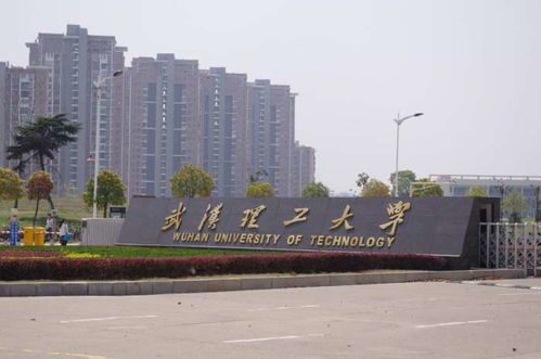 武汉理工大学是985吗