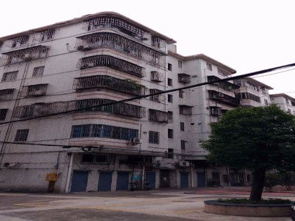 桂华是什么意思