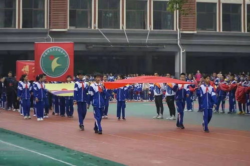 湖南师大附属小学有多少个学校