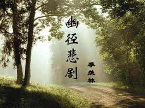 什么的小路