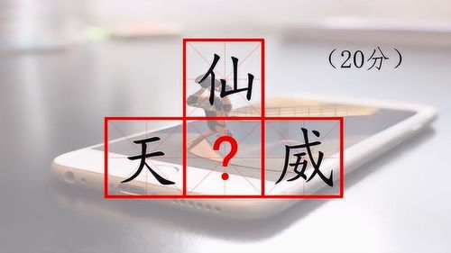 入字能组什么词