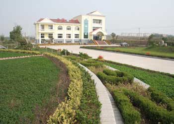 泰安新泰高温天气什么时候结束