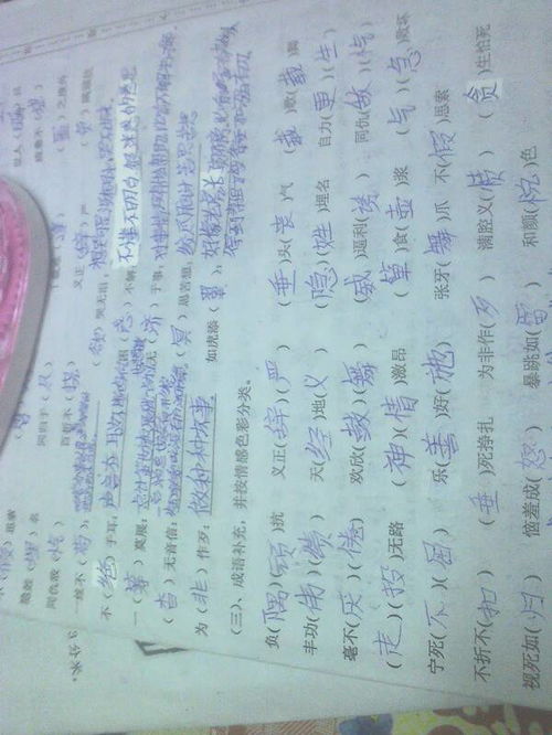 描写褒义词的四字词语大全