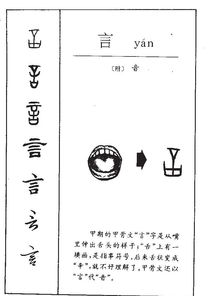 言拼音怎么读，剖拼音怎么读